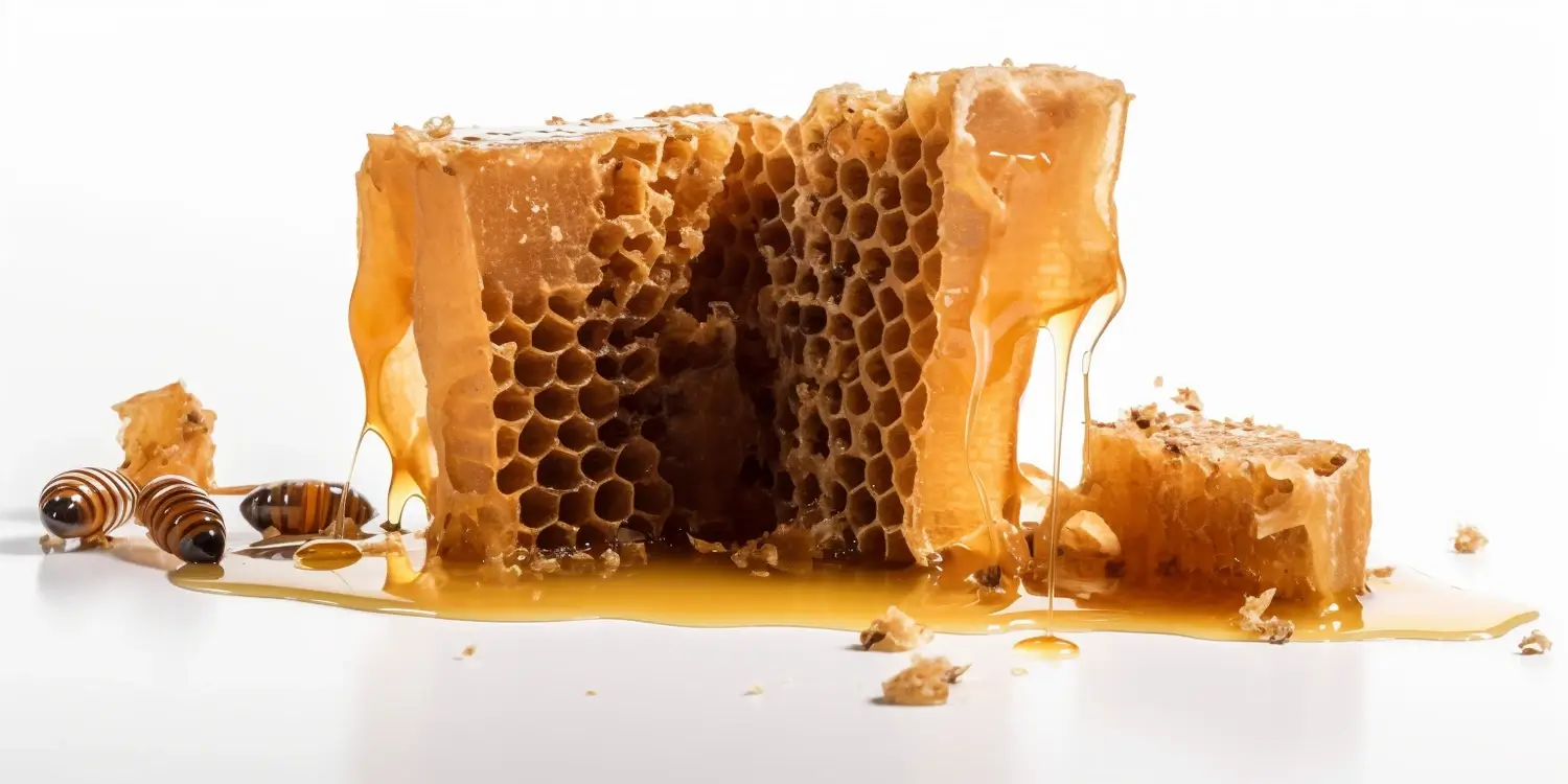 Gdzie kupić miód spadziowy margonem?