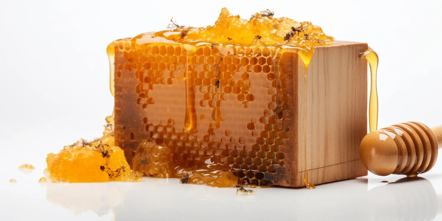 Jak rozpoznać dobry miód spadziowy?