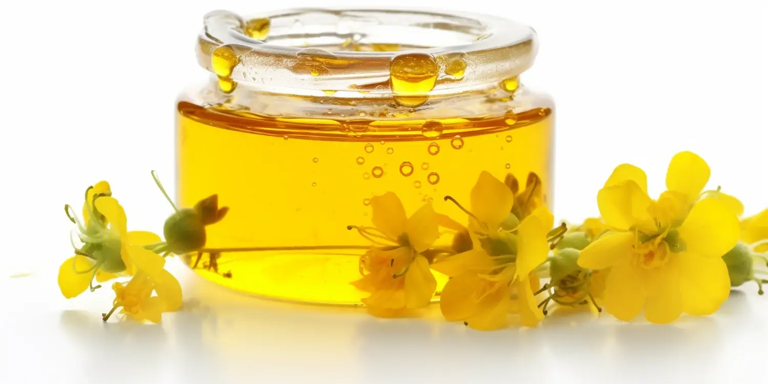 jaki-to-miod-spadziowy-1