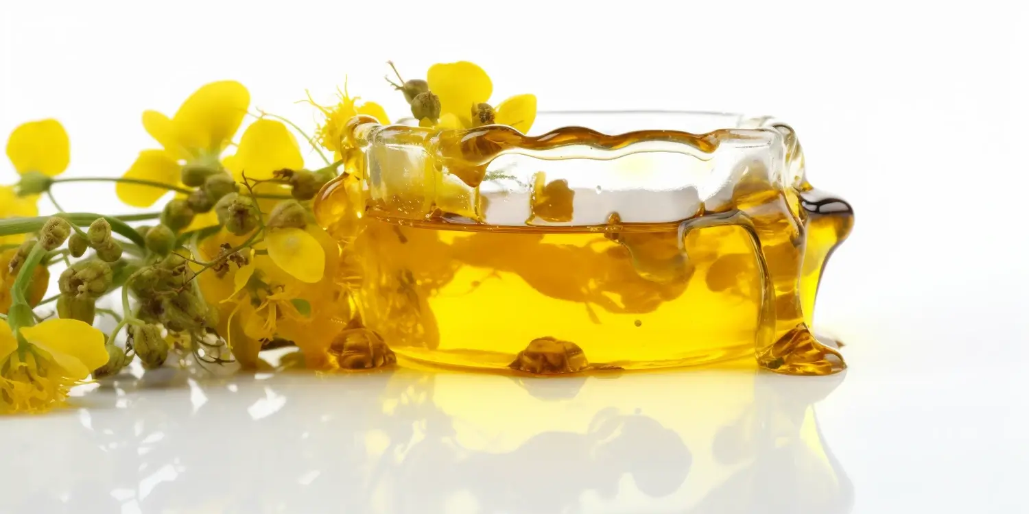 Miód nawłociowy - jego właściwości i zastosowanie