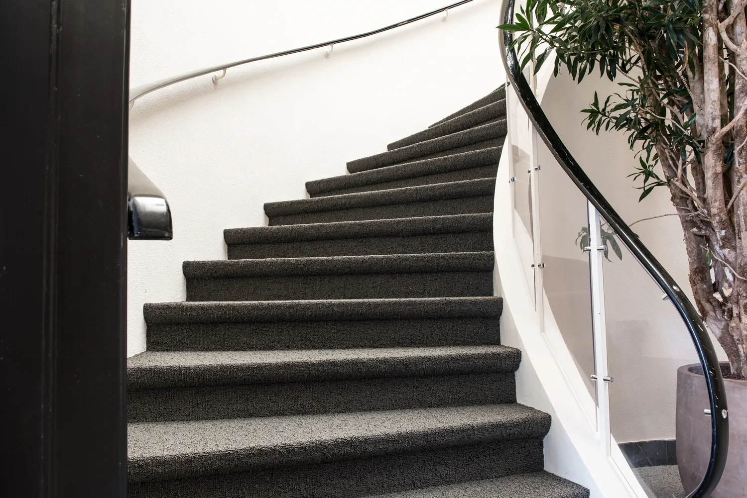 pranie-wykladzin-i-dywanow-w-domu-jak-sie-za-to-zabrac-1