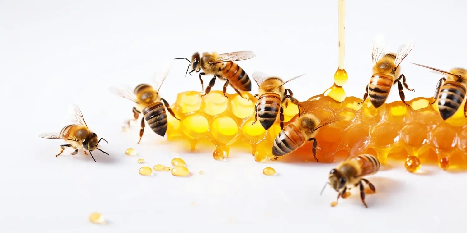 wymiana-matki-pszczelej-w-ulu-1