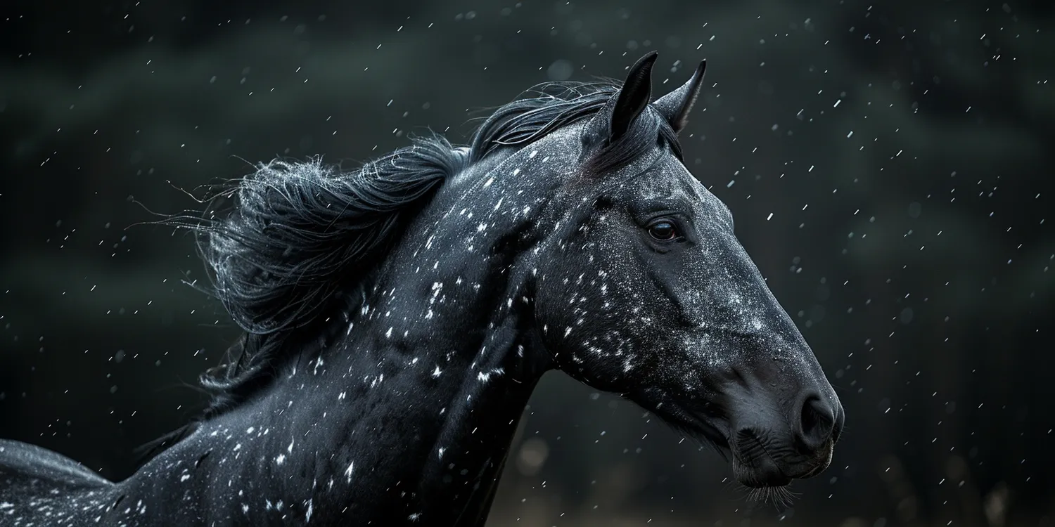 Jak upamiętnić zmarłego pupila?